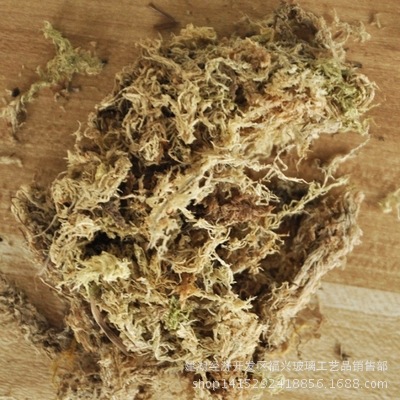 隔水吸水水苔 一袋裝 苔蘚多肉微景觀生態瓶DIY材料包配件素材批發・進口・工廠・代買・代購
