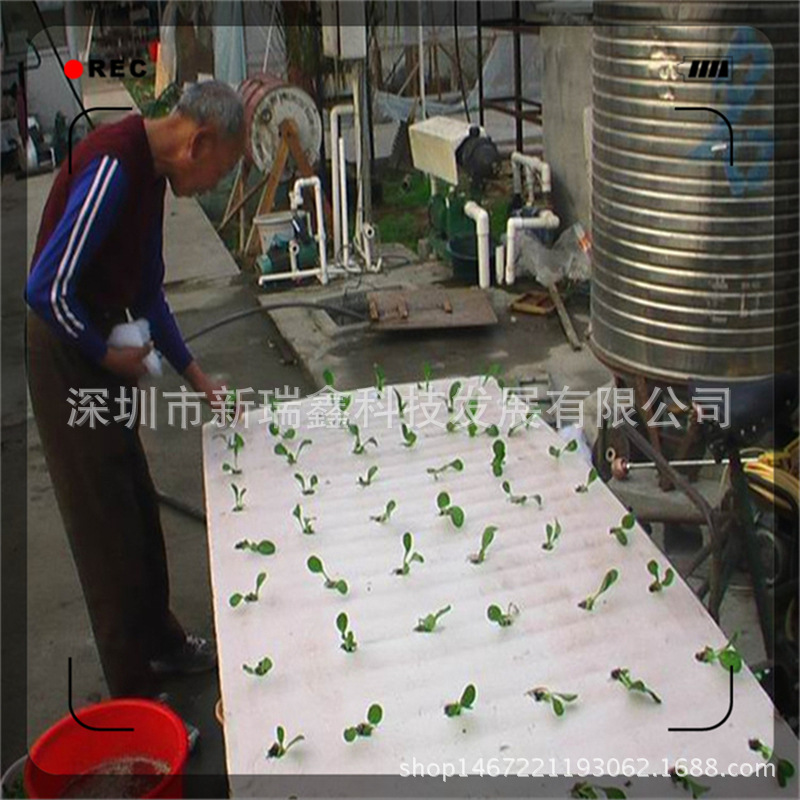 廠傢直供 植物專用種植海綿 田地種菜用的海綿 專業定製工廠,批發,進口,代購