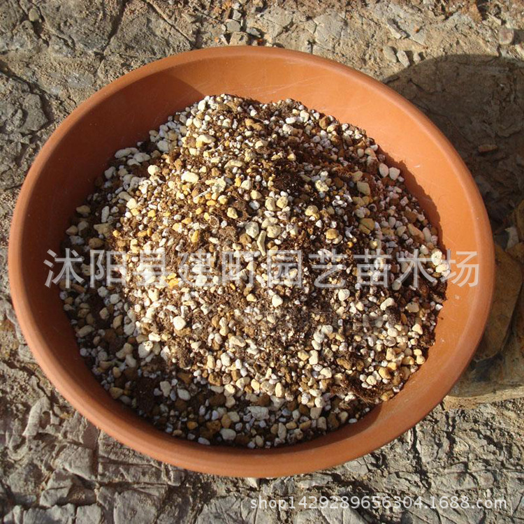 批發多肉營養種植土栽培土 含進口泥炭 袋裝多肉植物專用土工廠,批發,進口,代購