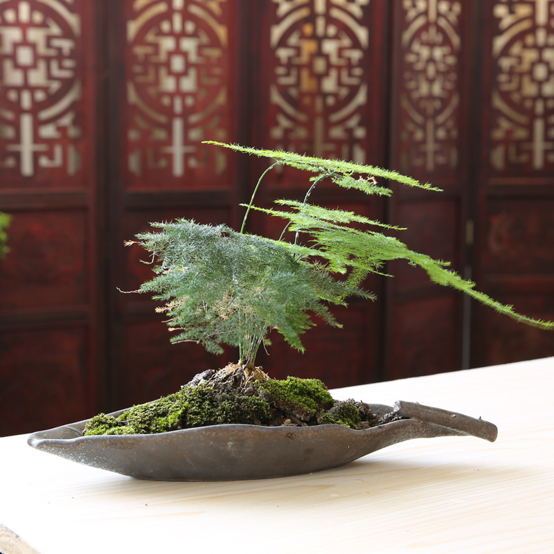禪意超萌個性簡約多肉植物陶瓷花盆廠傢批發花瓶花插花器傢居飾品批發・進口・工廠・代買・代購