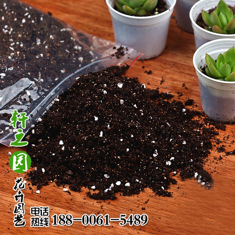 優質傢庭盆栽植物栽培基質營養土 傢庭園藝有機土 花土營養土工廠,批發,進口,代購