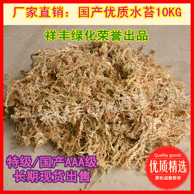 精選優質10KG裝A級水苔蘚苔 廣東水苔產銷基地 20年經營長期出口工廠,批發,進口,代購