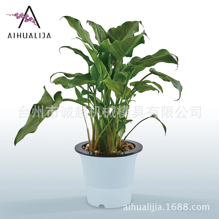 廠傢直銷 園藝植物自動吸水花盆黑白經典懶人塑料花盆儲水盆批發工廠,批發,進口,代購