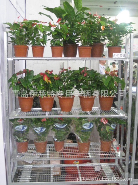 e483  供應可拆卸式花卉周轉車---焊接網工廠,批發,進口,代購