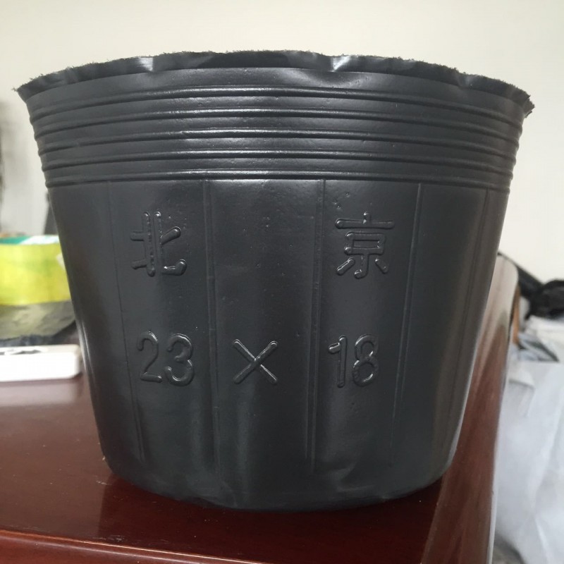 超級防老化各種規格優質營養缽育苗缽營養杯育苗缽6.5*6.5-21*21工廠,批發,進口,代購