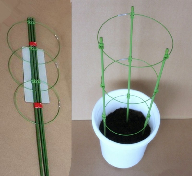 植物固定爬藤架子園藝用品鐵環花支架圓形包塑塑料養花支架60cm批發・進口・工廠・代買・代購