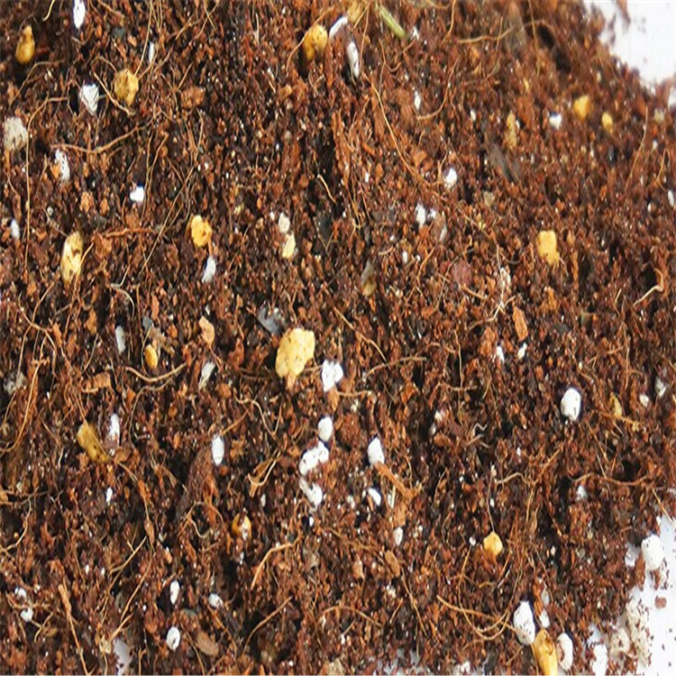 【春色滿園】多肉植物 多肉植物專用土 多肉 土 營養土 多肉組合工廠,批發,進口,代購