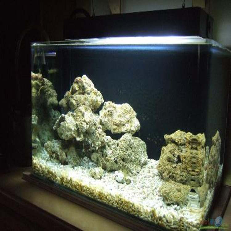 廠傢供應 1-2 3-5 30cm以上優質輕石 蘭石用於園林 栽培 魚缸工廠,批發,進口,代購