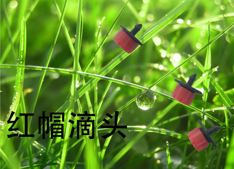 廠傢直銷 8孔 地插可調微噴滴頭 紅色可調流量工廠,批發,進口,代購