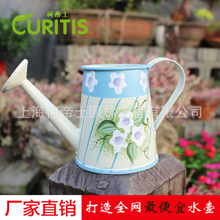 廠傢直銷 手繪花壺 澆花噴壺 灑水壺傢用園藝  上海柯帝士工廠,批發,進口,代購