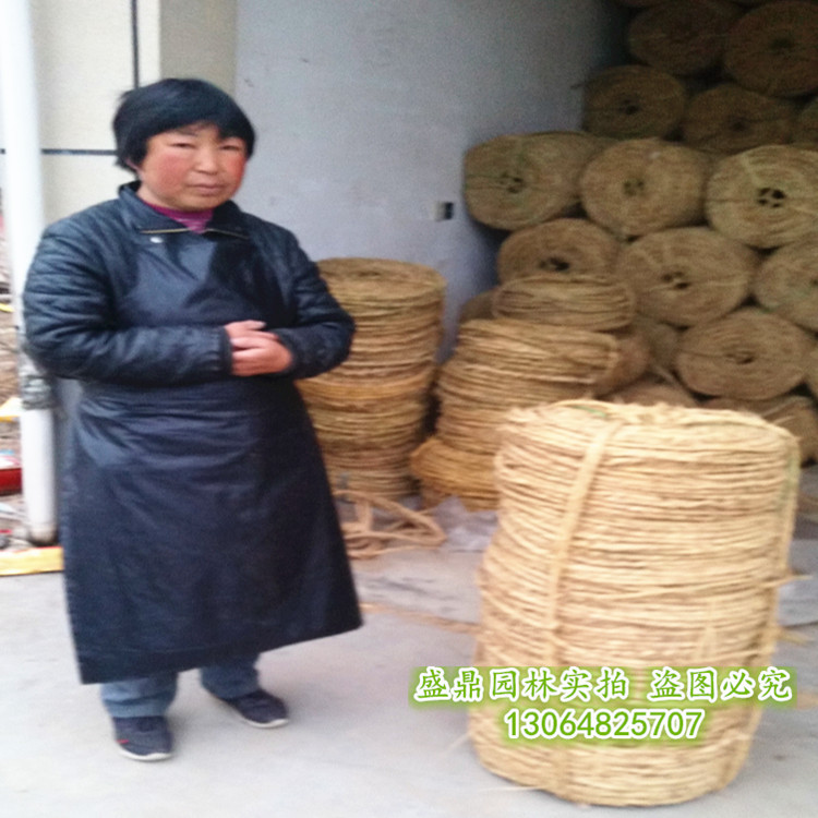 稻草繩 樹木捆綁 苗木防凍 包裝 保暖繩 各種規格 批發工廠,批發,進口,代購