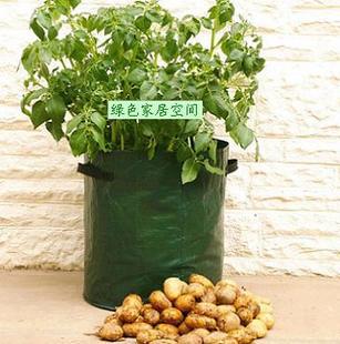 陽臺菜園 土豆蔬菜種植袋 2個一套 種花 種菜袋（廠傢直銷）工廠,批發,進口,代購