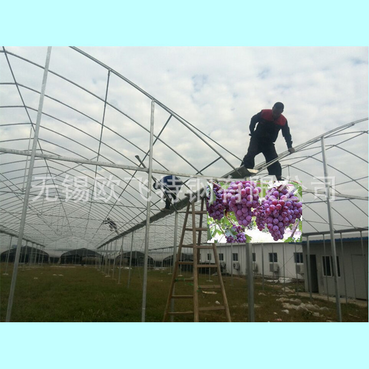 新型農業溫室養殖大棚 優質熱浸鋅葡萄鋼架大棚 大棚設計安裝服務批發・進口・工廠・代買・代購