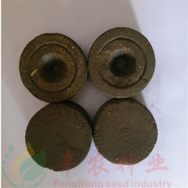 特價銷售 育苗塊 育苗更簡單 澆水就可以育苗 直徑38mm 營養批發・進口・工廠・代買・代購