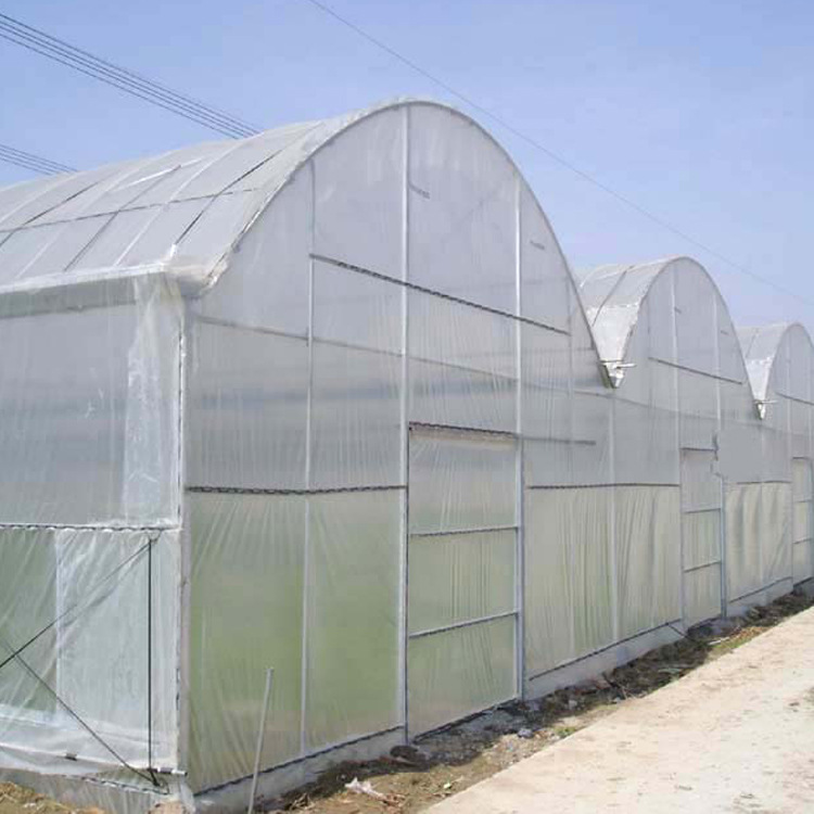 專業生產防蟲網 蔬菜大棚專業防鳥網 高密度園林防蟲紗工廠,批發,進口,代購