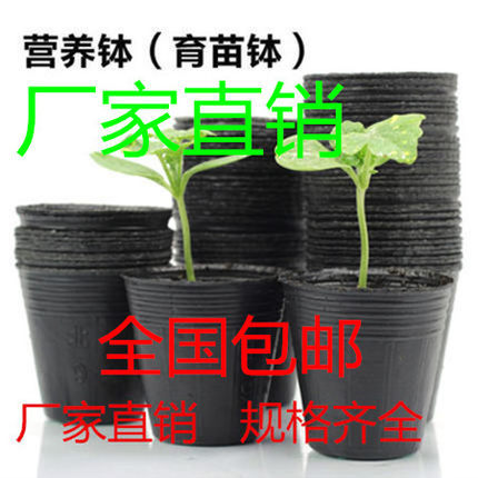 營養缽 育苗袋 營養袋  簡易育苗盆 種植穴盆 替代塑料花盆種植袋工廠,批發,進口,代購