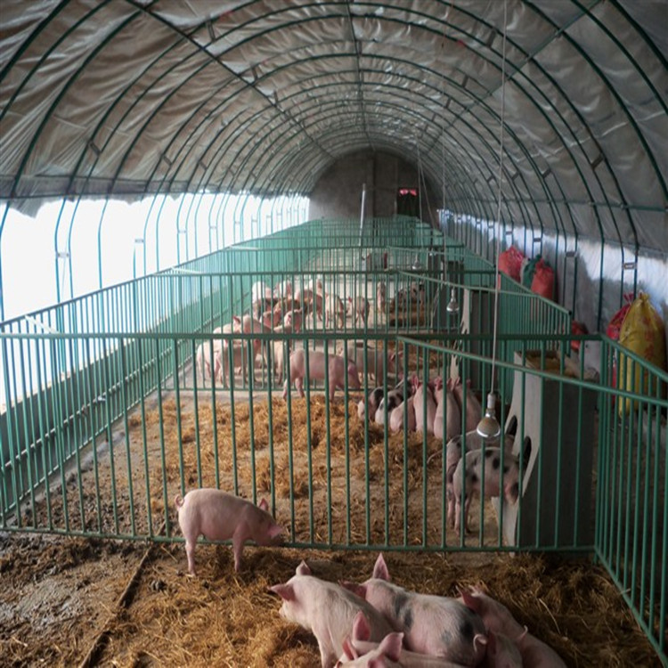 供應溫室大棚 多肉植物智能棚 連棟大棚 玻璃溫室 廠傢直銷工廠,批發,進口,代購