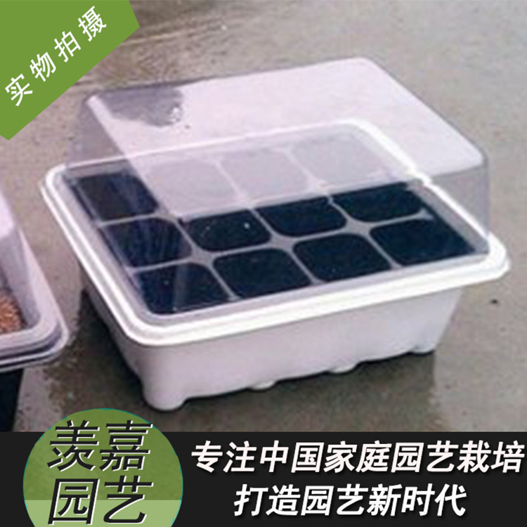 羨嘉園藝 大量批發育苗播種12孔塑料育苗盒工廠,批發,進口,代購