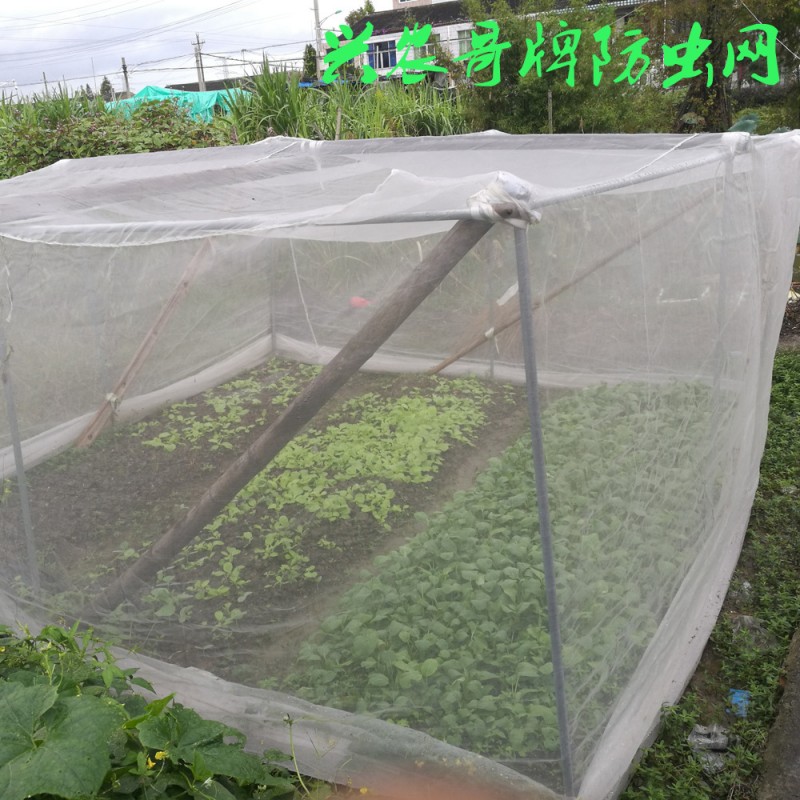 抗老化防蟲網 大棚用網 蝗蟲養殖網 陽臺種菜 蔬菜防蟲批發・進口・工廠・代買・代購
