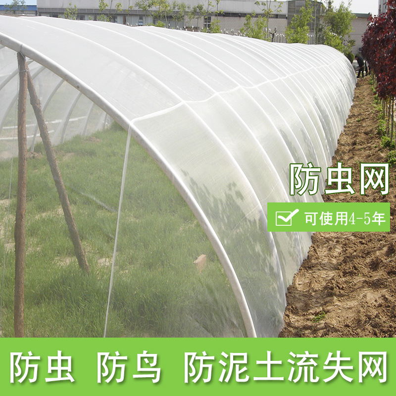 供應農用防蟲網 蔬菜大棚防蟲網（圖）工廠,批發,進口,代購