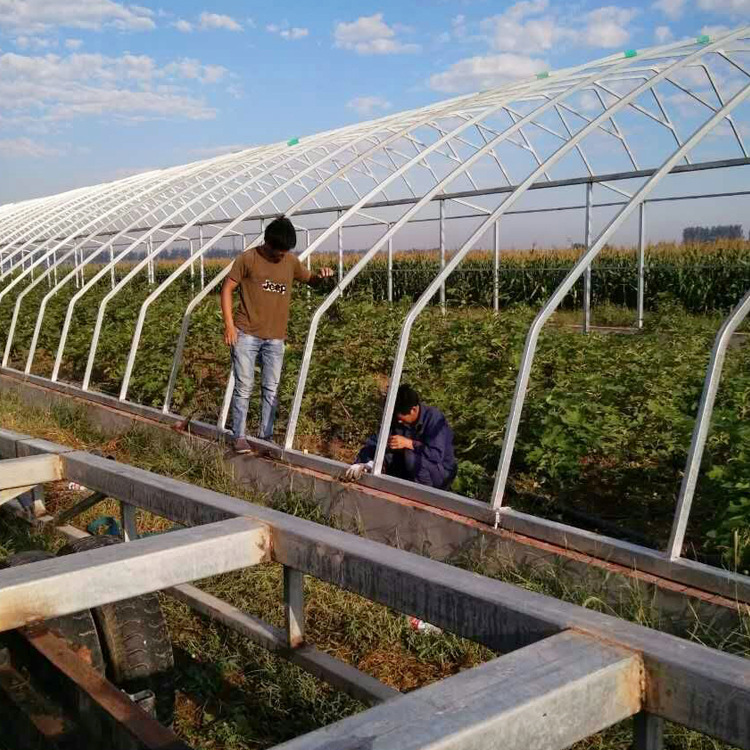 保溫棚 蔬菜大棚 保暖棚 防寒防雨防鳥 植物保溫罩 育苗暖房暖棚工廠,批發,進口,代購