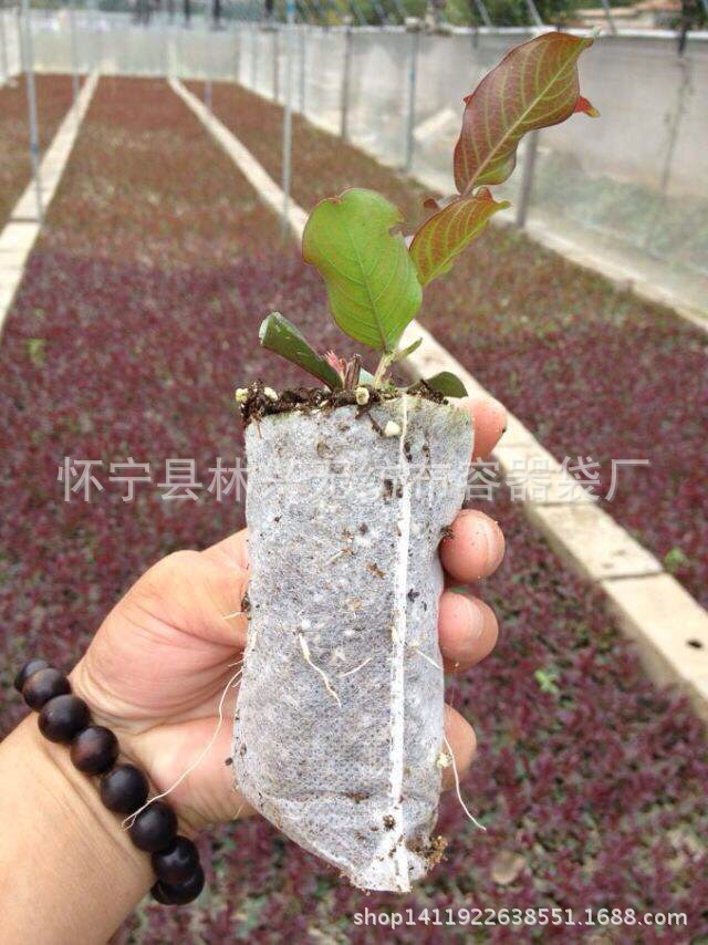 廠傢直銷環保可降解無紡佈育苗袋 輕基質網袋容器營養袋插底9*12工廠,批發,進口,代購