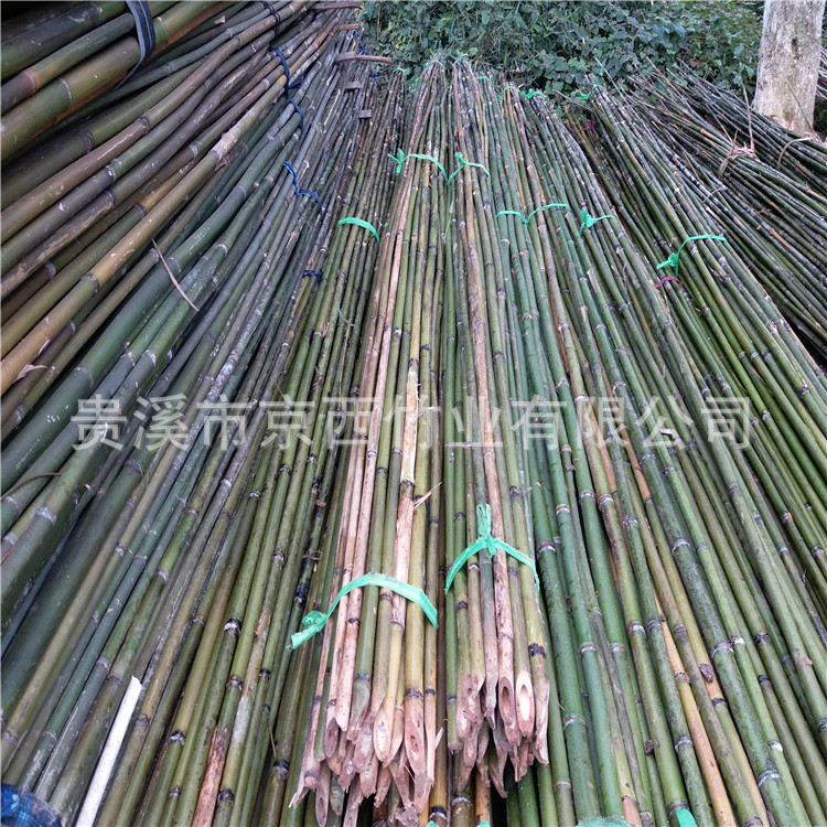 批發4米小竹桿 農用細竹竿 粗度2-3厘米工廠,批發,進口,代購