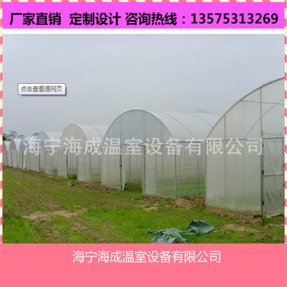 供應蔬菜大棚 水果種植溫室大棚  加強型8X30工廠,批發,進口,代購