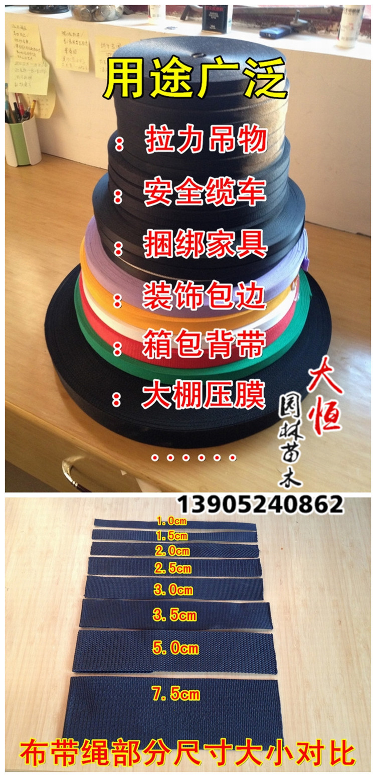 大棚壓膜繩佈帶繩 扁繩子 寬佈帶子 防曬繩 捆綁繩 打包繩帆佈帶工廠,批發,進口,代購