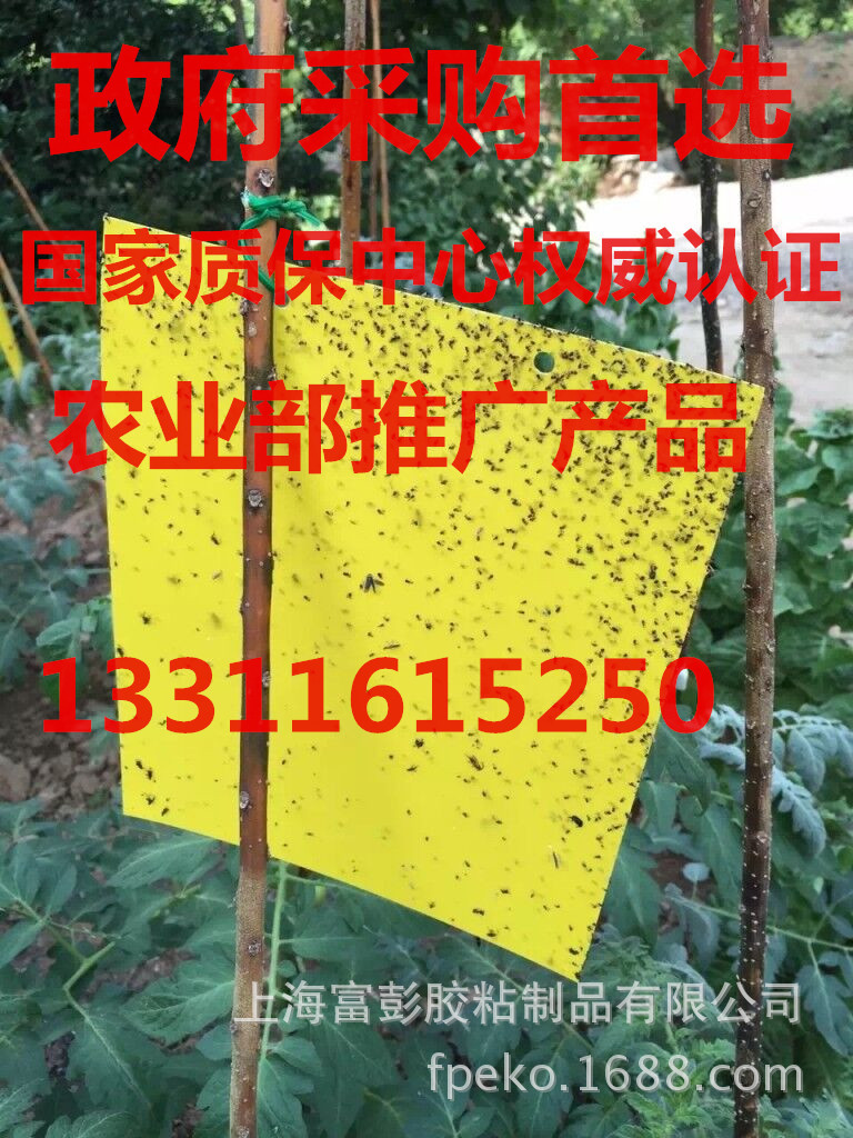 廠傢大量供應250mm*200mm規格的黏蟲板，價格便宜工廠,批發,進口,代購