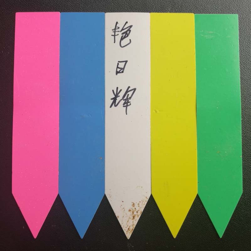 多肉植物塑料插地牌/一字標簽/塑料園藝標牌/花卉標簽/ 可開發票工廠,批發,進口,代購