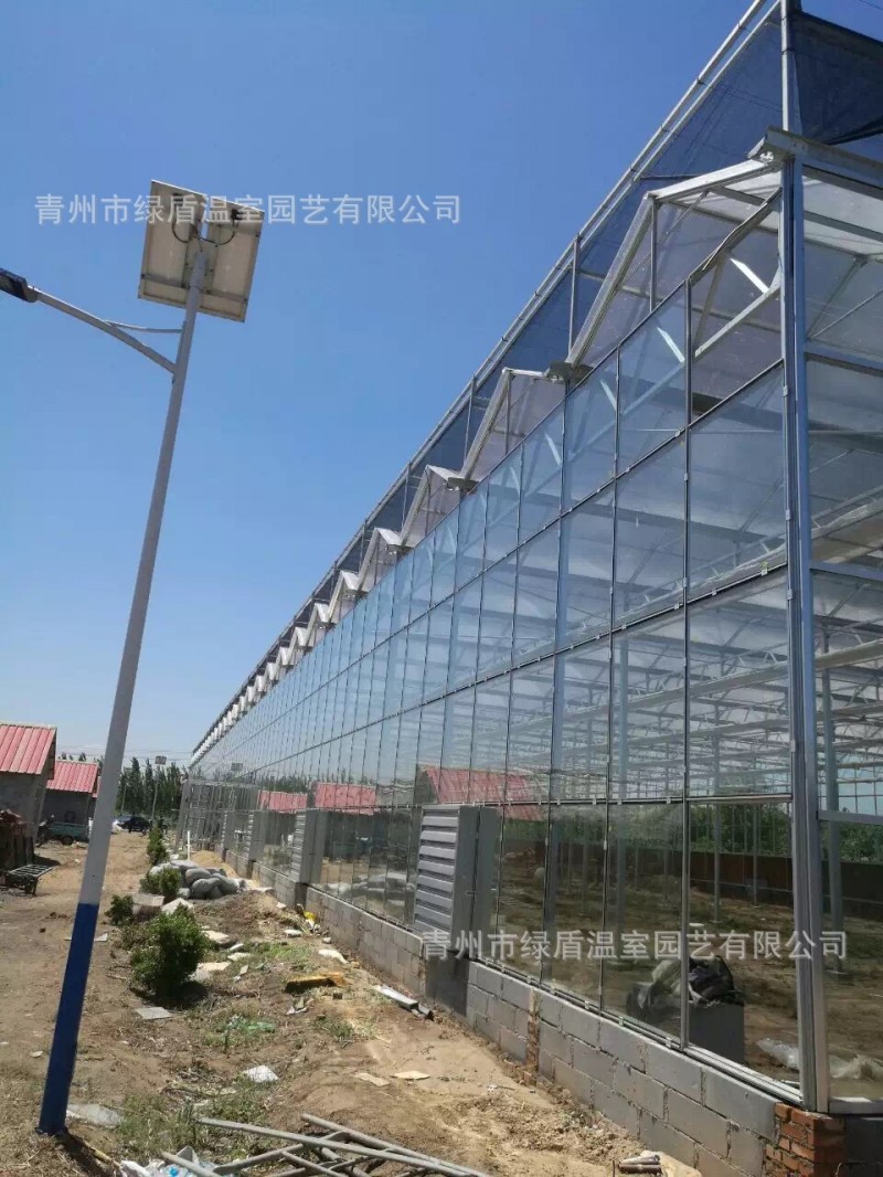 玻璃溫室大棚 連棟玻璃溫室 紋絡玻璃溫室 智能溫室大棚 廠傢直銷工廠,批發,進口,代購