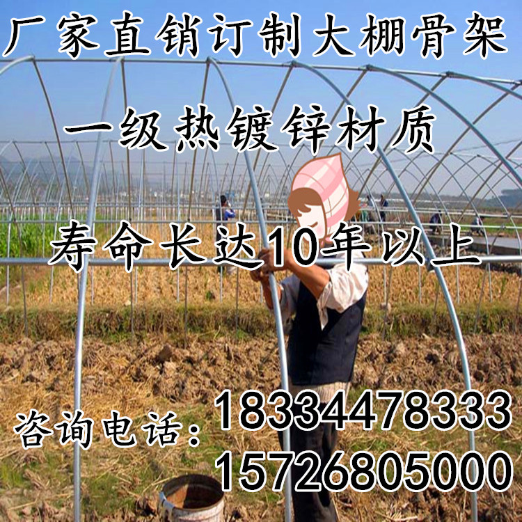 廠傢批發熱鍍鋅大棚架 蔬菜大棚骨架溫室大棚 鋼管大棚養殖大棚工廠,批發,進口,代購