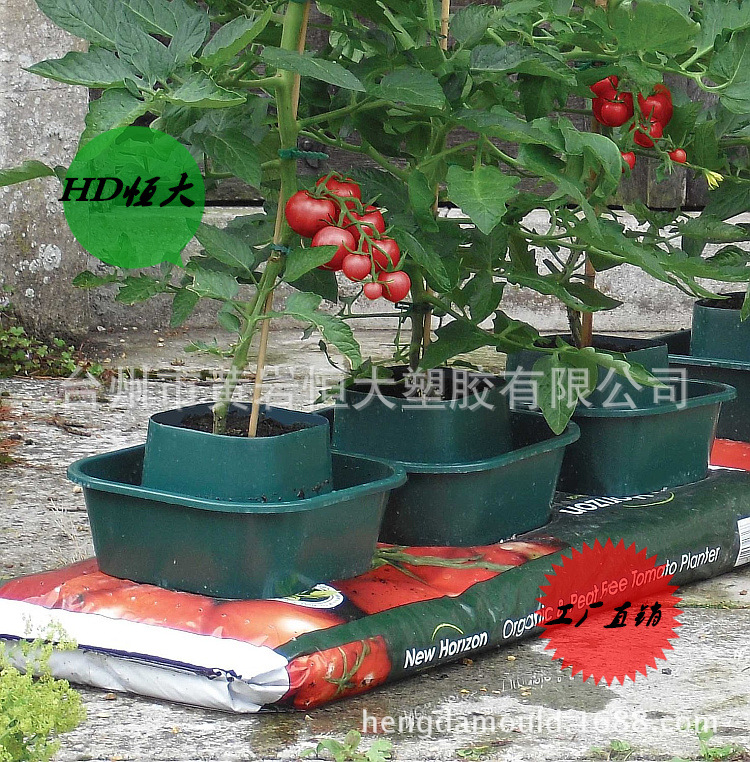 番茄種植器  植物支撐架工廠,批發,進口,代購
