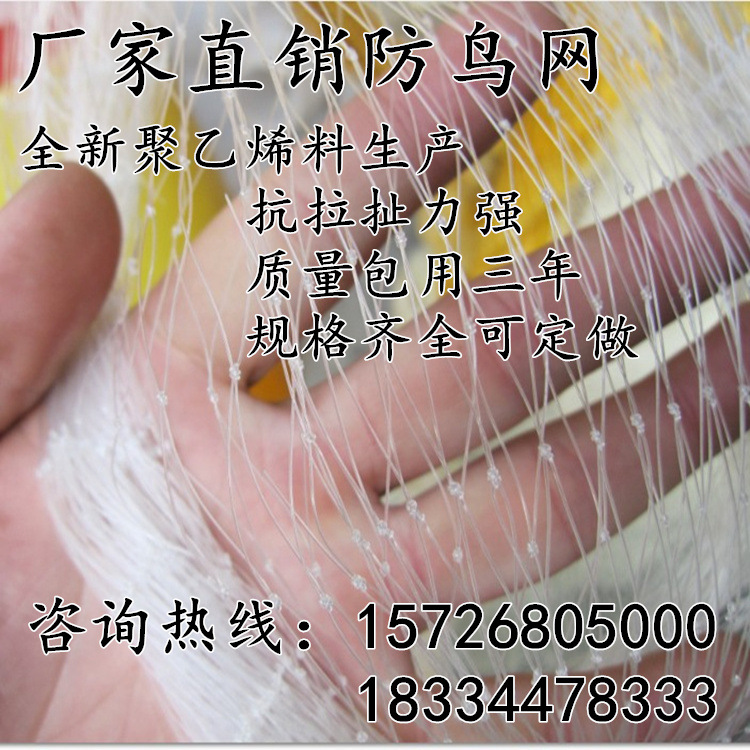 廠傢批發防鳥網果園防鳥網魚塘防鳥網葡萄網枸杞網櫻桃網尼批發・進口・工廠・代買・代購