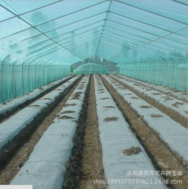 4s  4米寬  240米長農用透明塑料佈塑料薄膜加厚溫室無滴大鵬批發・進口・工廠・代買・代購