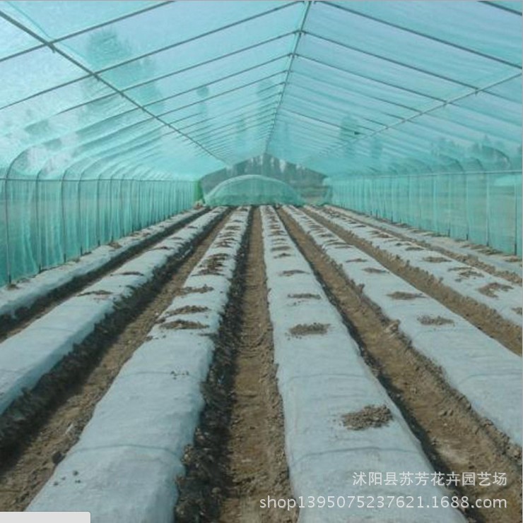 4s  4米寬  240米長農用透明塑料佈塑料薄膜加厚溫室無滴大鵬工廠,批發,進口,代購