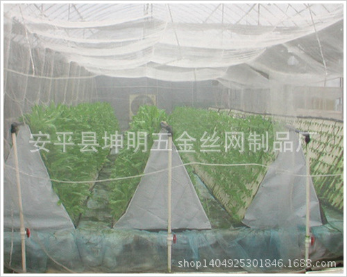 廠傢供應60目 乙烯防蟲網 果園防蟲 大棚防蟲工廠,批發,進口,代購