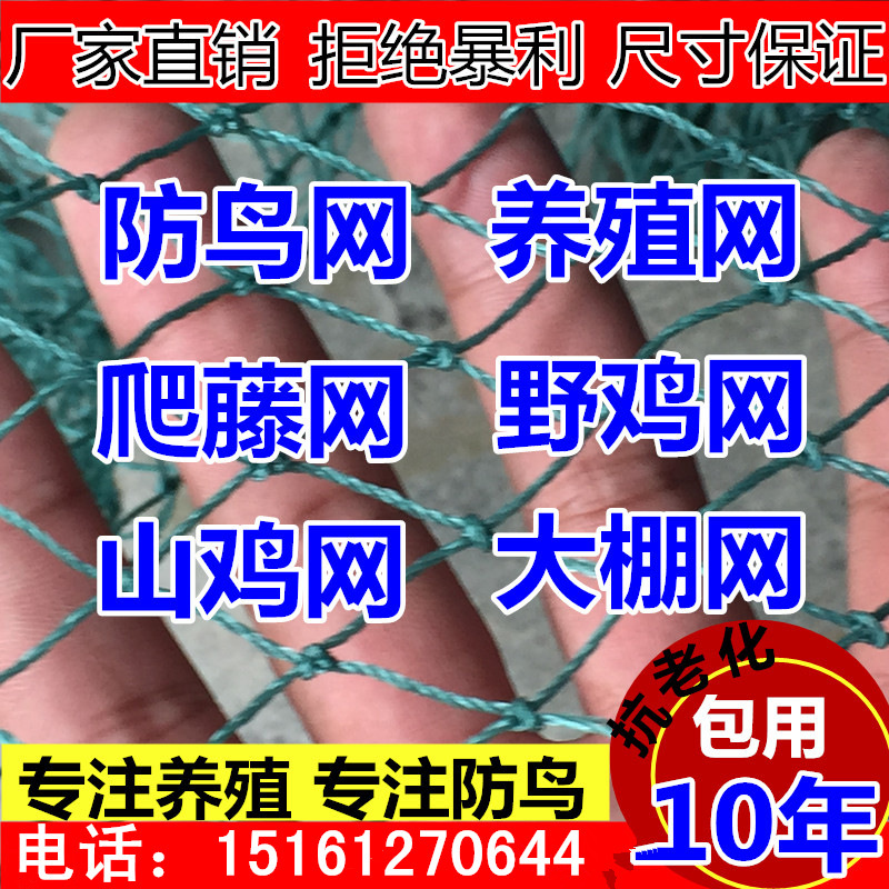 廠傢直銷 農用傢禽塑料有結網 防鳥 養殖網圍欄網 漁網工廠,批發,進口,代購