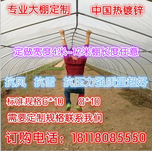 專業定製大棚骨架 熱鍍鋅剛管 單體大棚 溫室大棚 蔬菜大棚工廠,批發,進口,代購
