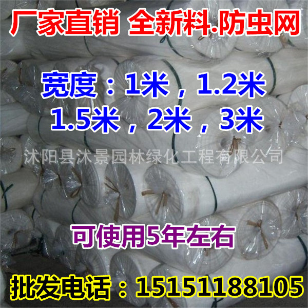 廠傢直銷 聚乙烯防蟲網60目 蔬菜防蟲網 大棚農用防蟲網 質量保證工廠,批發,進口,代購
