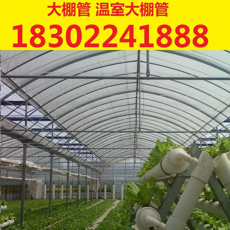 天津生產 溫室大棚    連棟溫室大棚管  溫室大棚管工廠,批發,進口,代購