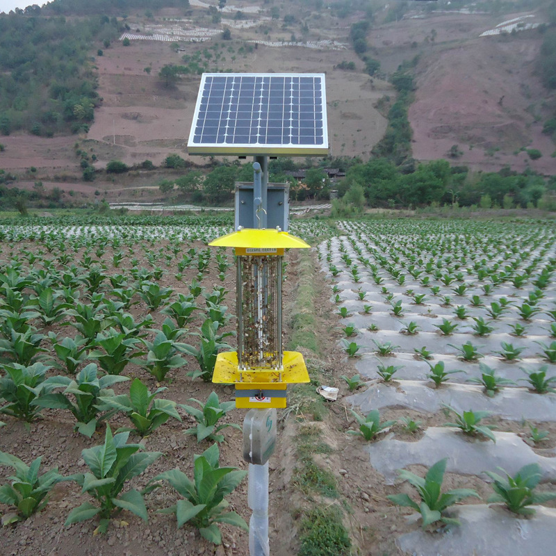 太陽能頻振式殺蟲燈 農業果園農傢樂專用殺蟲燈包郵 太陽能滅蚊燈工廠,批發,進口,代購