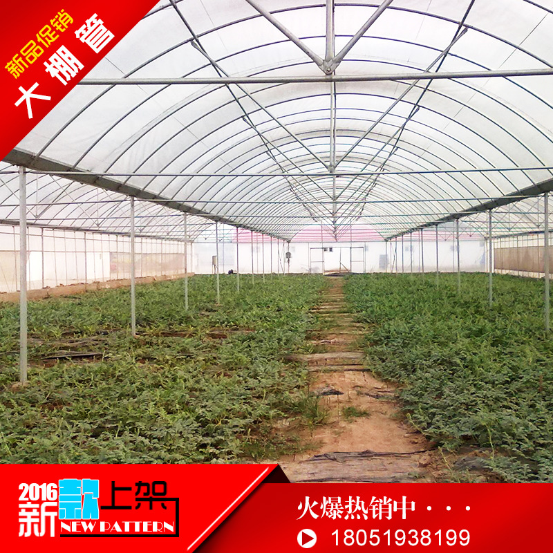 錢鋪大棚廠供優質GSW-8430型連棟薄膜溫室15絲 塑料連身溫室工廠,批發,進口,代購