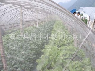 供應農用蔬菜大棚防蟲網,溫室大棚防蟲網，農業遮陽網、工廠,批發,進口,代購
