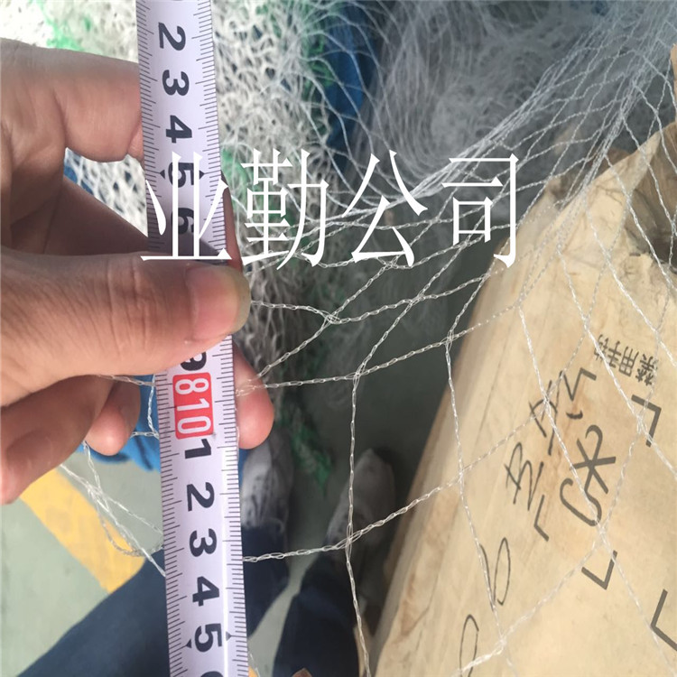 廠傢批發防鳥網 大棚防鳥防蟲網 尼龍防鳥網 現貨工廠,批發,進口,代購