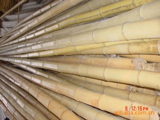 農用竹材，種植用材，溫室用材。批發・進口・工廠・代買・代購