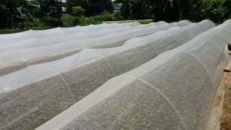防蟲網及玻璃鋼支架，美觀實用耐用工廠,批發,進口,代購