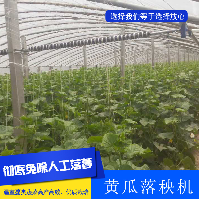 黃瓜落秧機 大棚蔬菜好幫手黃瓜落秧機工廠,批發,進口,代購