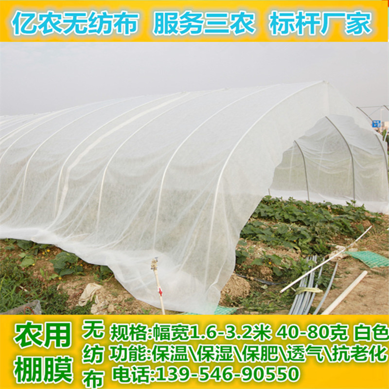 無紡佈廠傢生產抗老化 防滴棚膜 蔬菜花卉大棚無紡佈 棚膜無紡佈工廠,批發,進口,代購